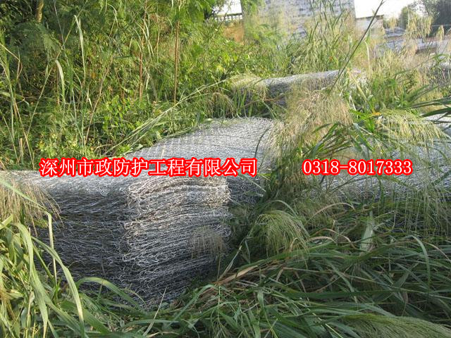 賓格籠網(wǎng)