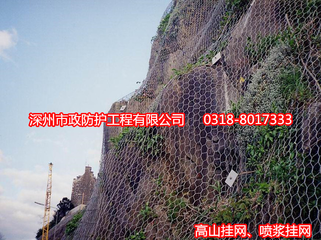 高山掛網(wǎng)